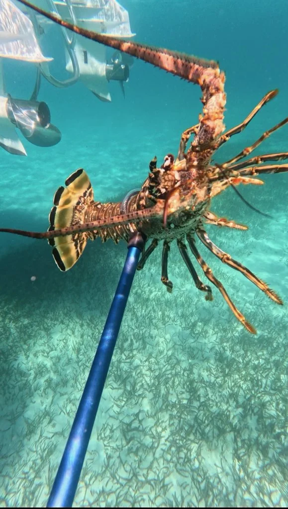 Fishing in Islamorada, Florida