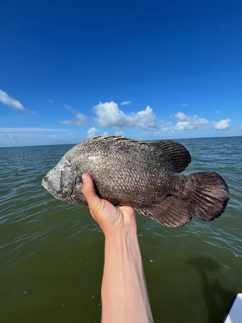 Fishing in Apalachicola, Florida