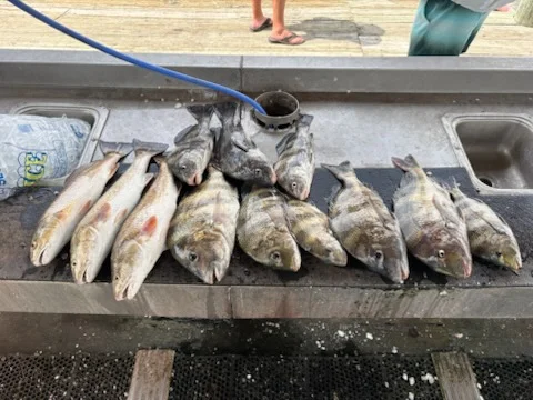 Fishing in Lake Charles, Louisiana