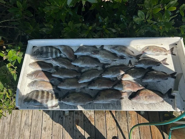 Fishing in Bay Pines, Florida