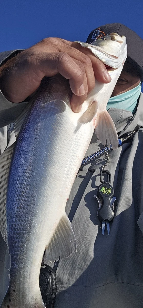 Fishing in Galveston, Texas