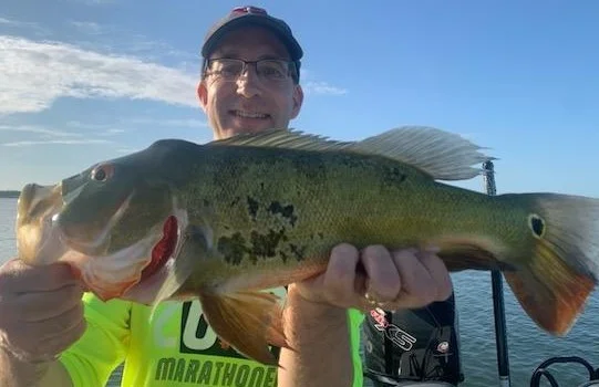 Peacock Bass Fishing in Palmetto Bay, Florida