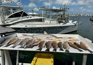 Fishing in Key West, Florida