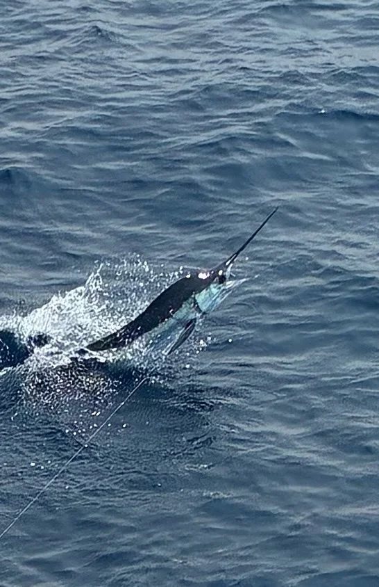 Fishing in Hatteras, North Carolina