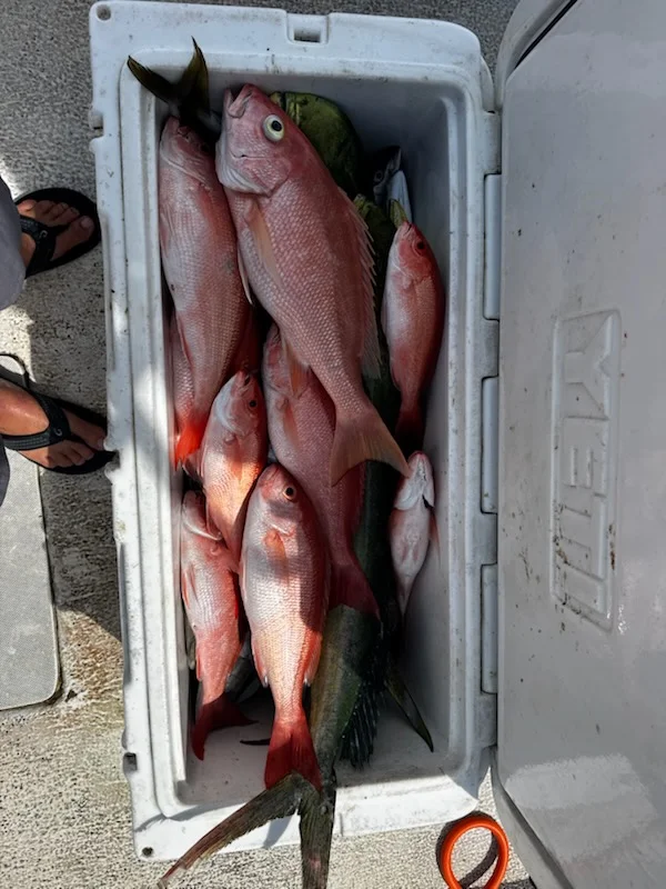 Fishing in Dania Beach, Florida
