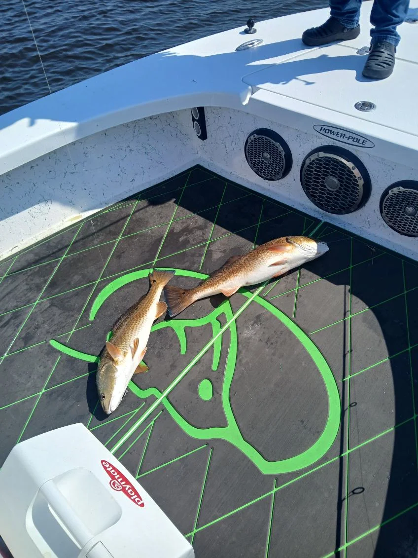 Fishing in Lafitte, Louisiana