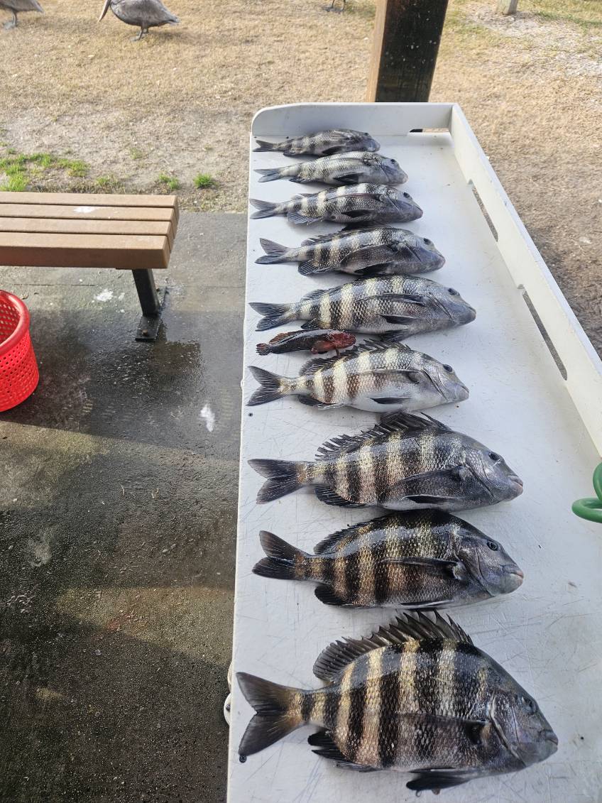 Fishing in Jacksonville, Florida