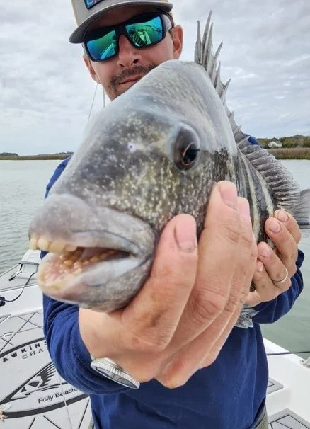 Sheepshead fishing in Johns Island, South Carolina