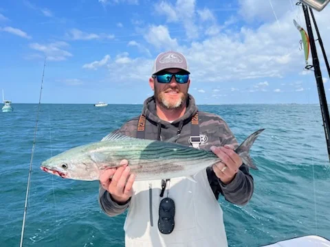 Bonito Fishing in Beaufort, North Carolina
