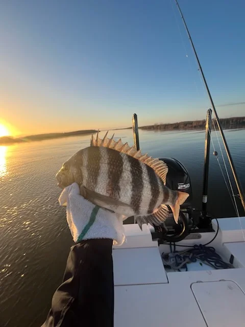 Fishing in Apalachicola, Florida