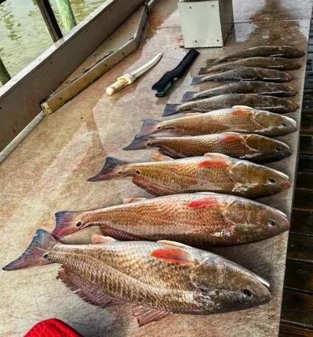 Fishing in Galveston, Texas