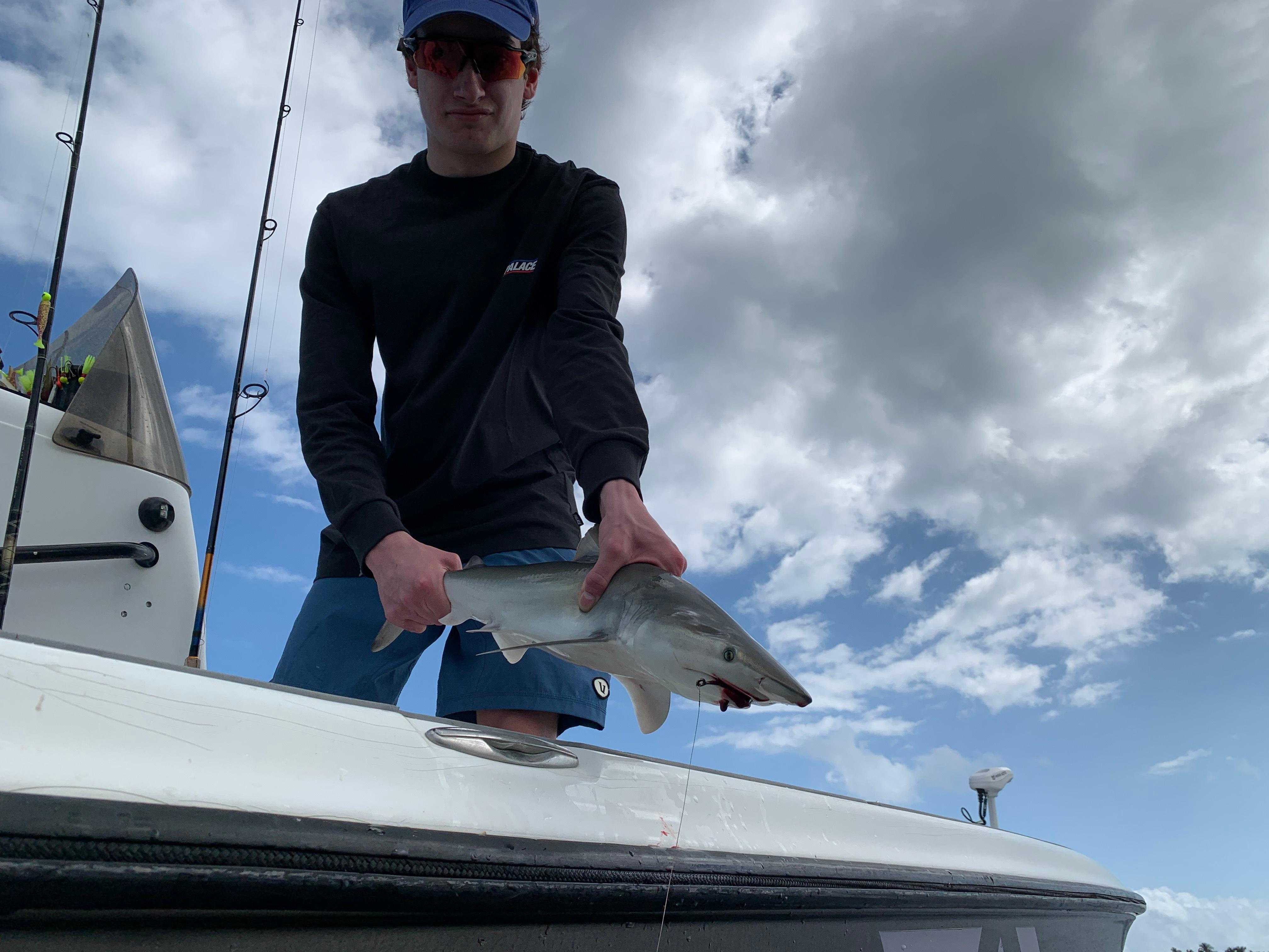 Bull Shark Fishing in Jupiter, Florida