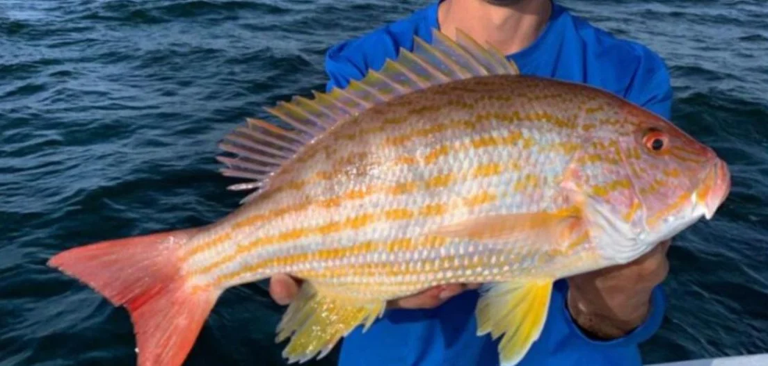 Gag Grouper Fishing in Clearwater, Florida