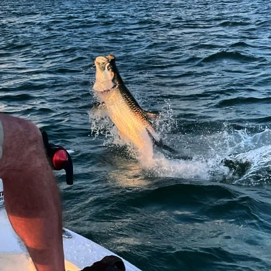 Fishing in Port Charlotte, Florida