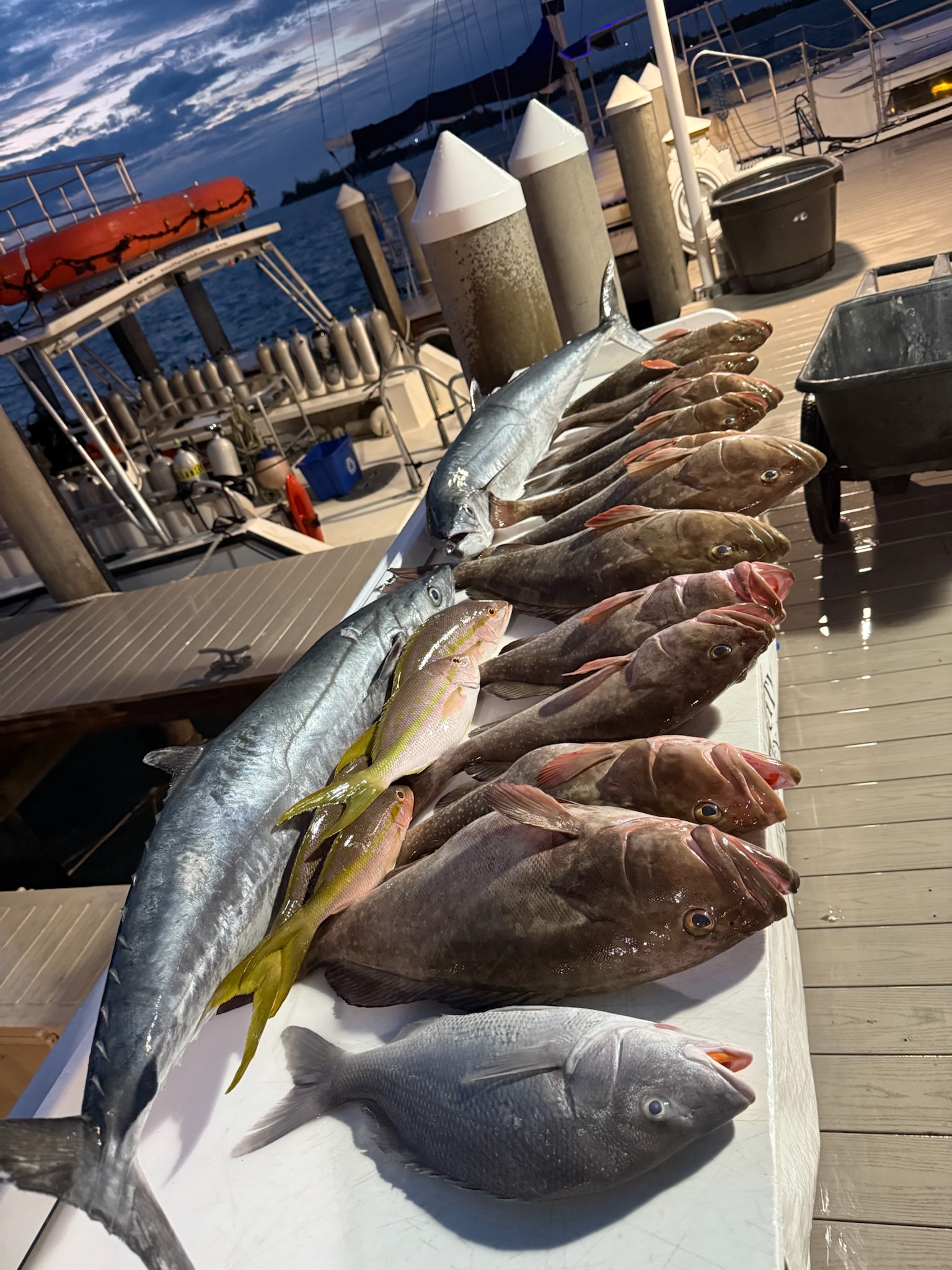 Fishing in Key West, Florida