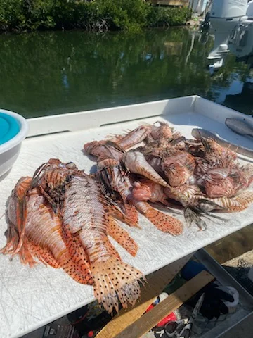 Fishing in Key West, Florida