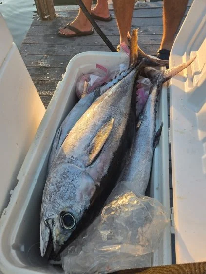 Fishing in Clearwater, Florida