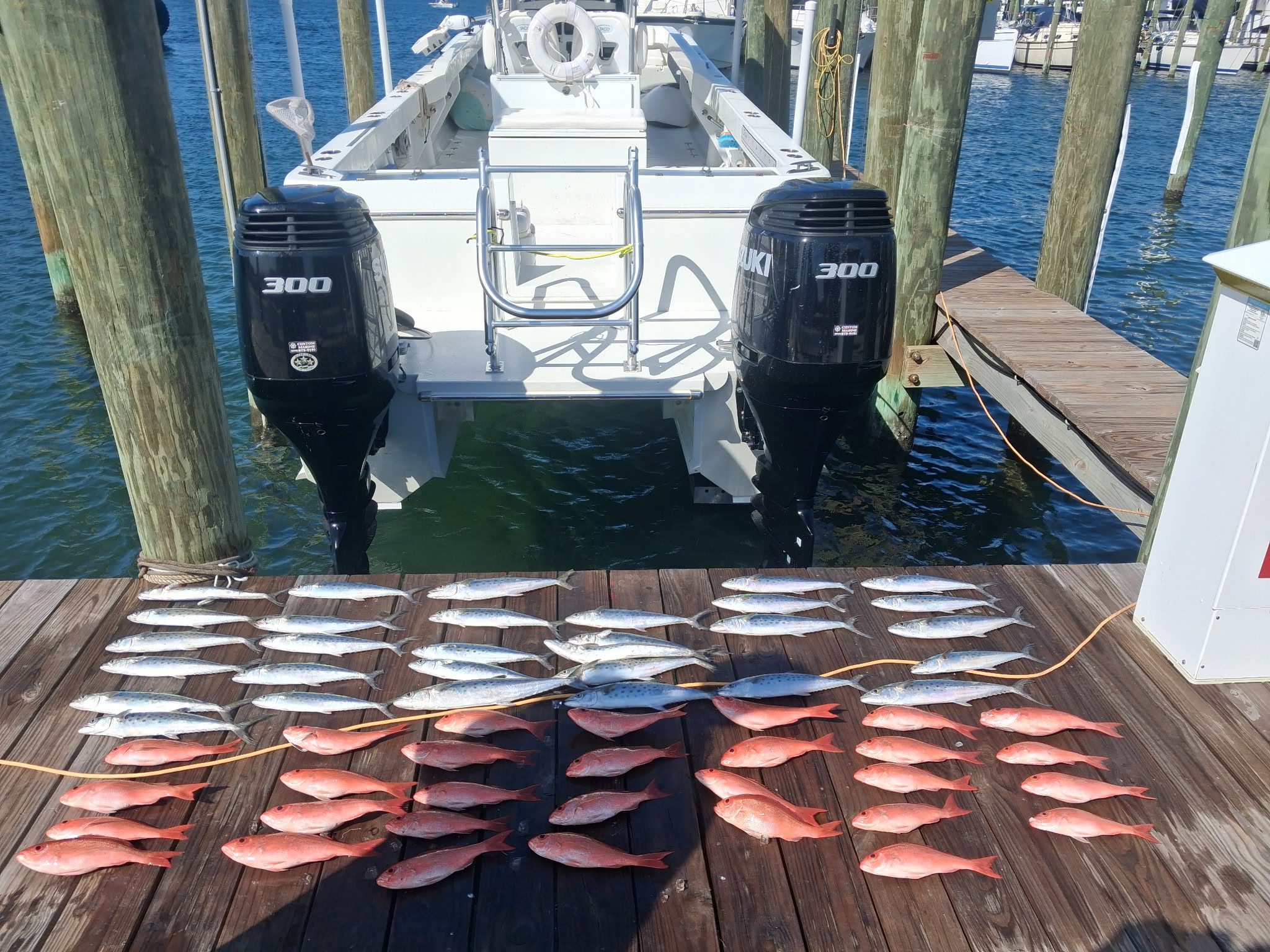 Fishing in Panama City, Florida