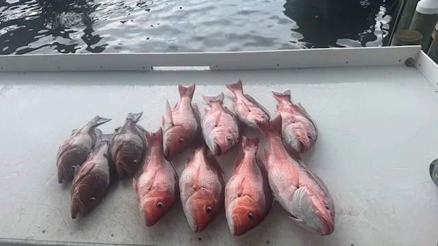 Fishing in Gulf Shores, Alabama