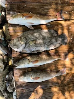 Fishing in Eastpoint, Florida