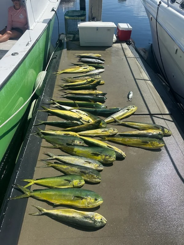 Fishing in Dania Beach, Florida