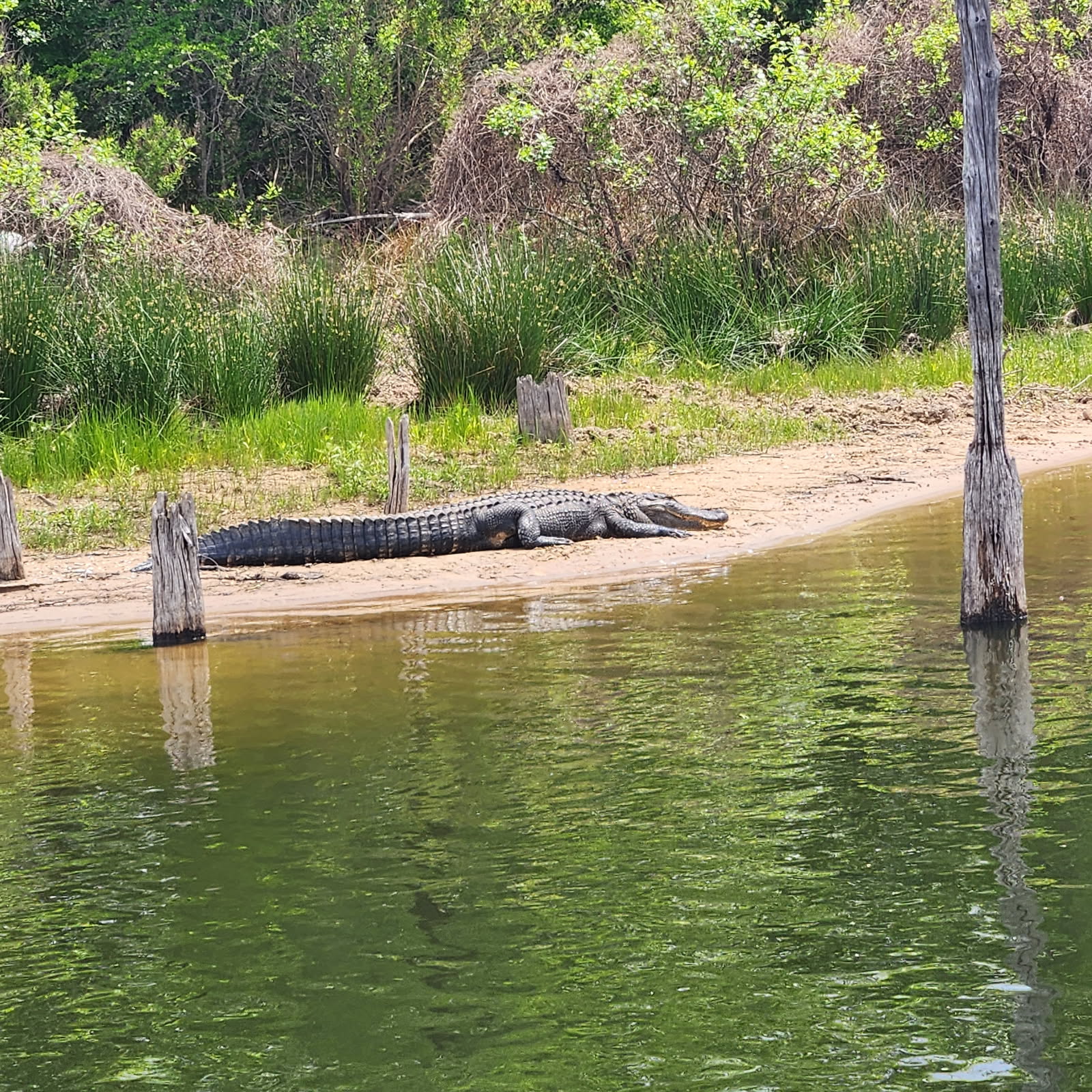 Fishing in Alba, Texas