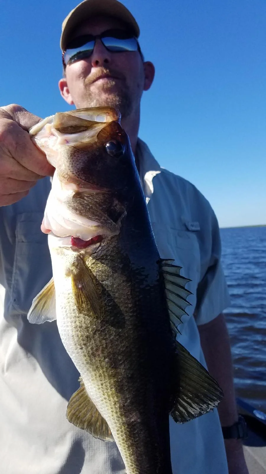 Largemouth Bass Fishing in Fort Lauderdale, Florida