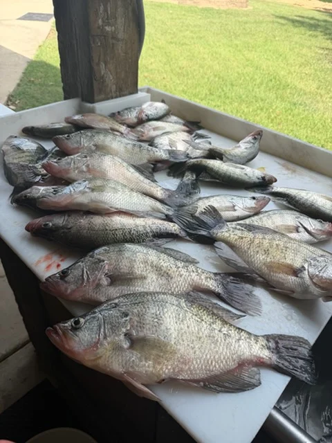 Fishing in Pope, Mississippi