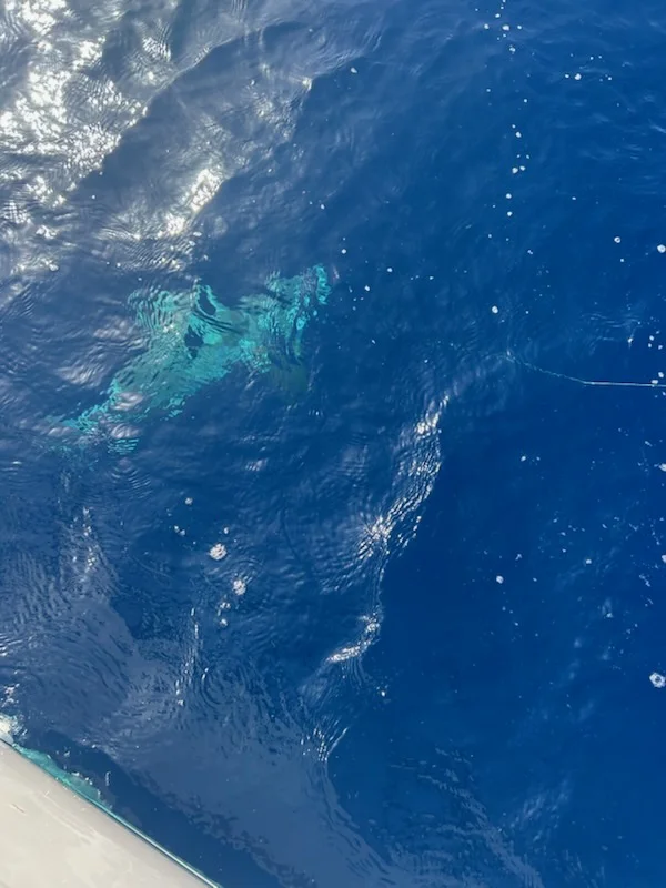 Fishing in Riviera Beach, Florida