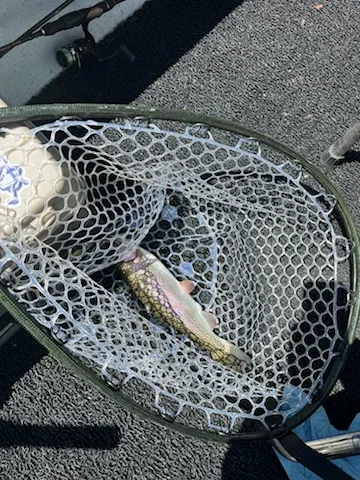Fishing in Heber Springs, Arkansas