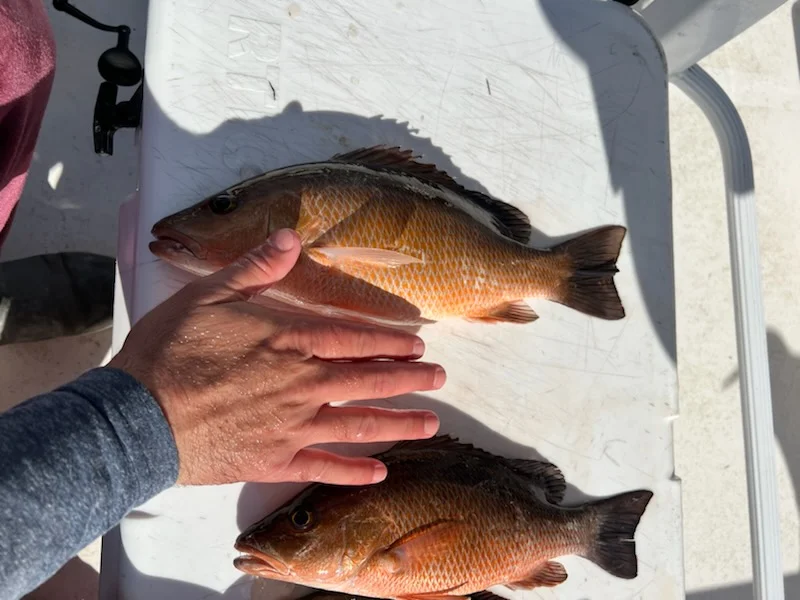Fishing in Hudson, Florida