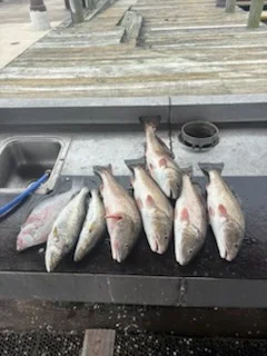 Fishing in Lake Charles, Louisiana
