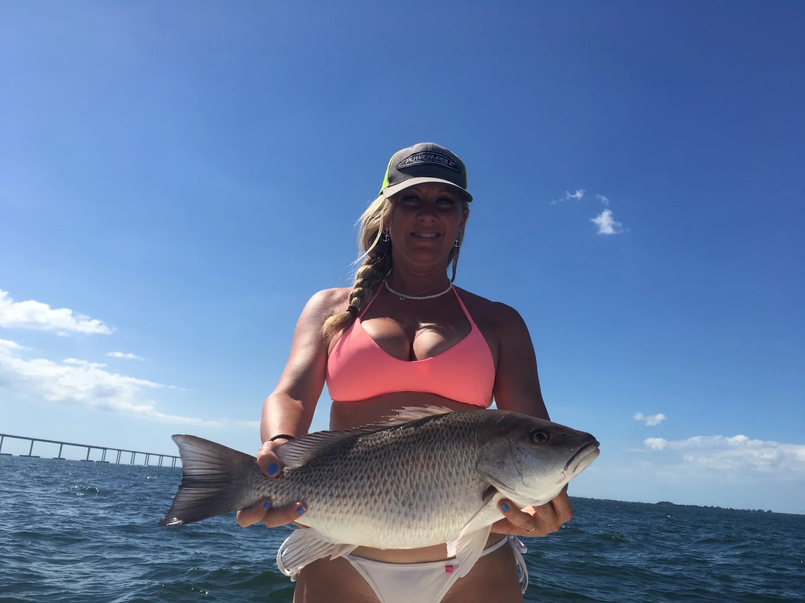 Tarpon Fishing in Tampa, Florida