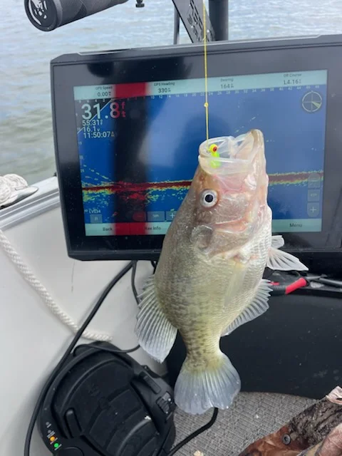 Fishing in Willis, Texas