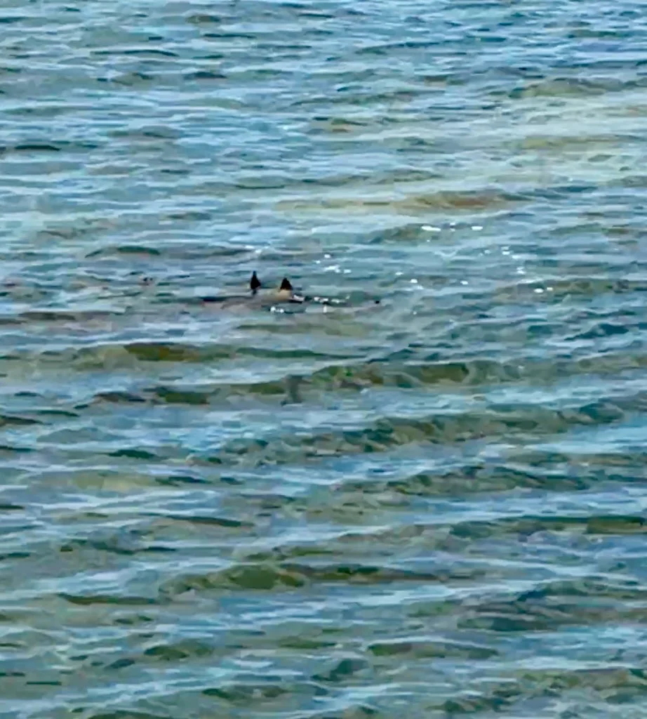 Fishing in Aransas Pass, Texas