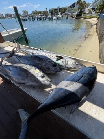 Fishing in Jupiter, Florida