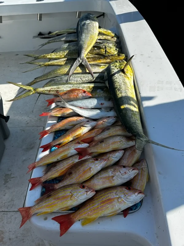 Fishing in Arcadia, Florida