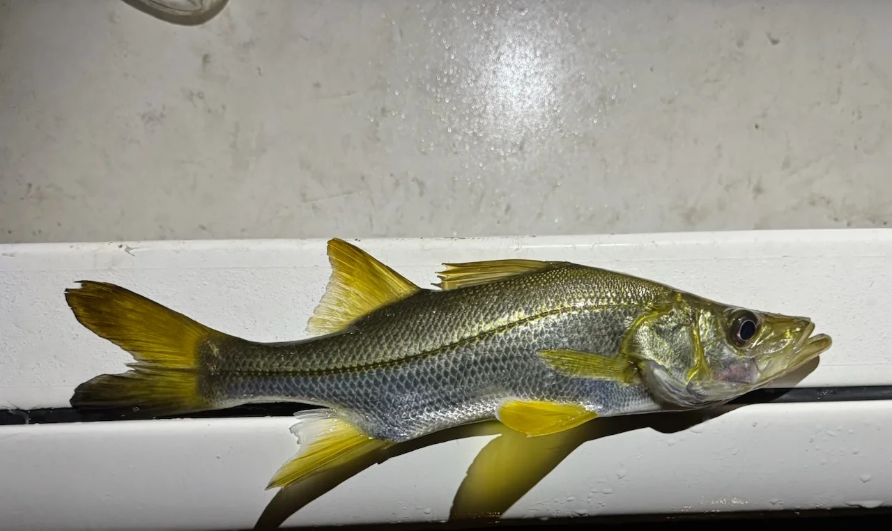 Fishing in Jupiter, Florida