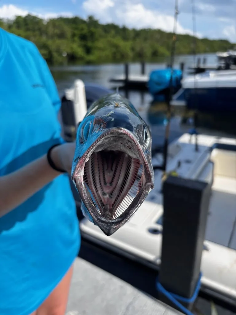 Fishing in Miami, Florida
