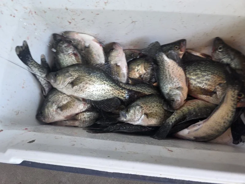 Fishing in Zavalla, Texas