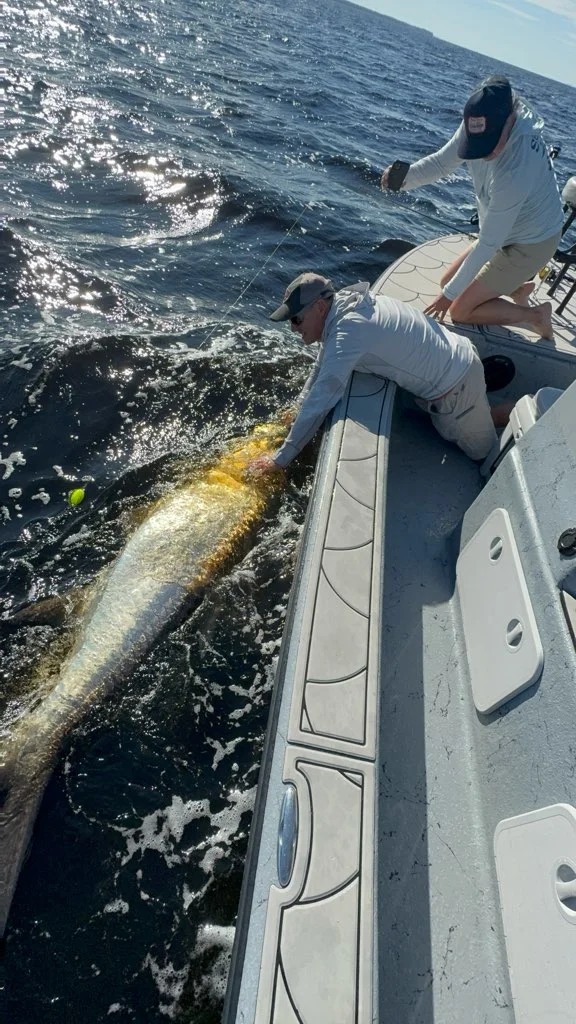 Fishing in Punta Gorda, Florida