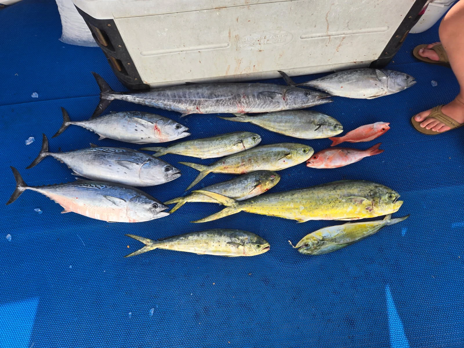 Fishing in Destin, Florida