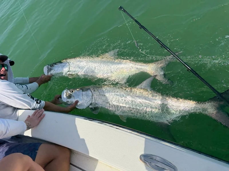 Fishing in Indian Rocks Beach, Florida
