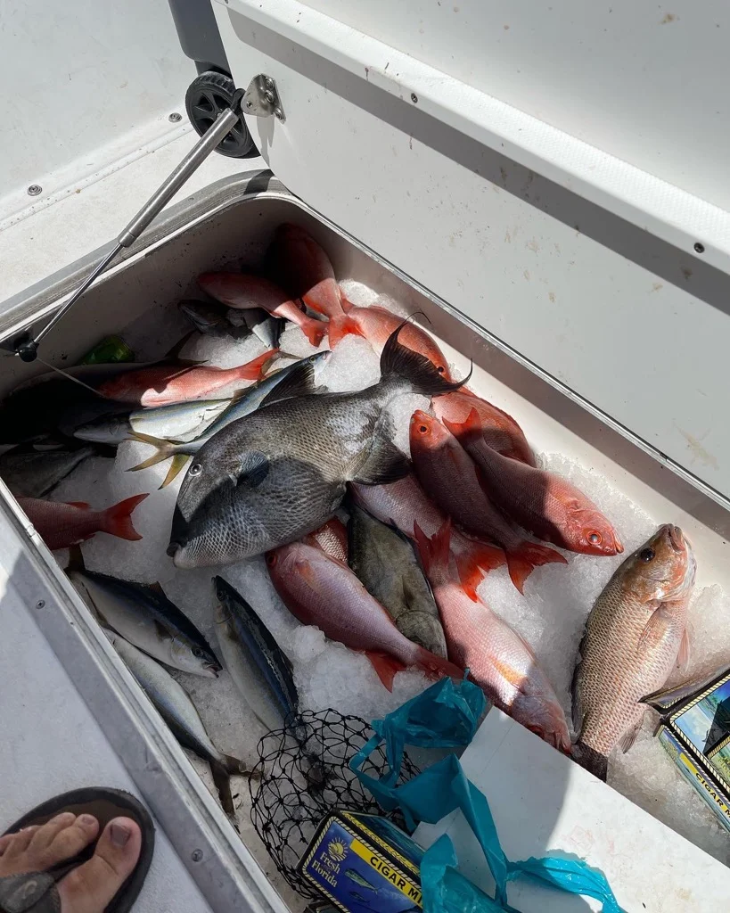 Triggerfish Fishing in Santa Rosa Beach, Florida