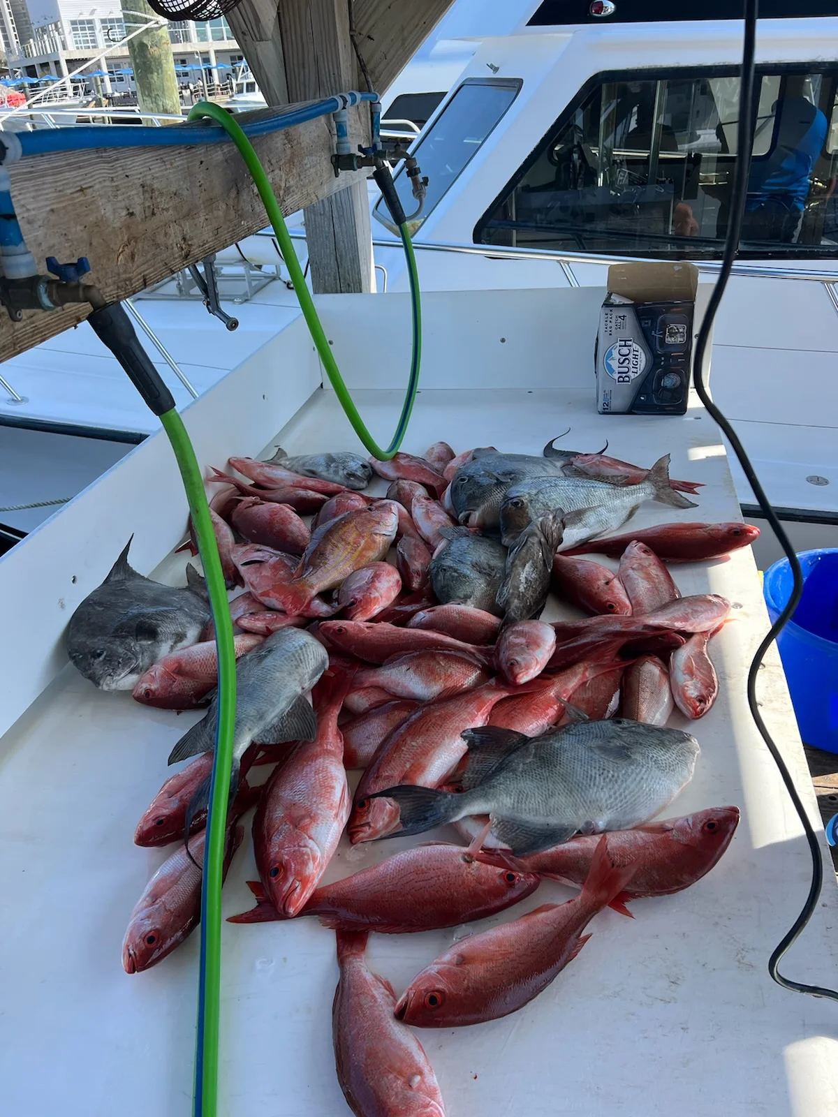 Fishing in Spanish Fort, Alabama
