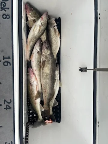 Fishing in Oak Harbor, Ohio