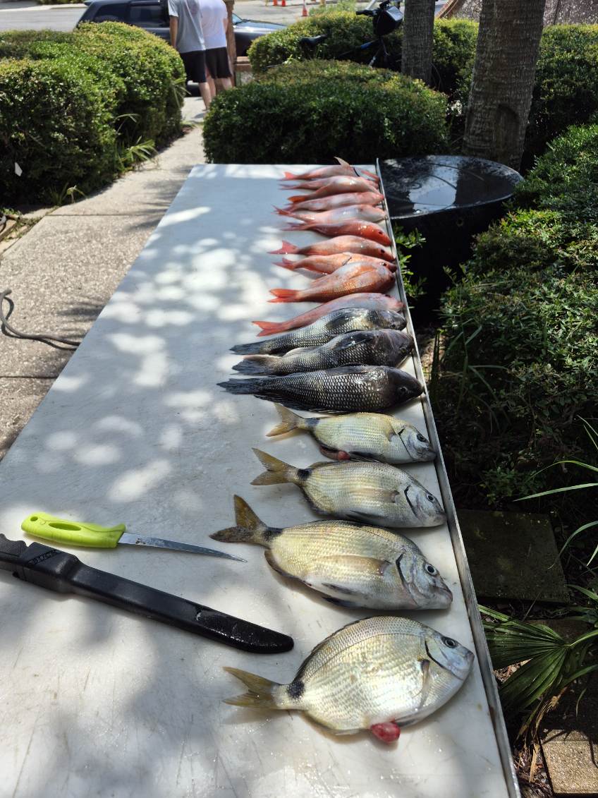 Fishing in St. Marys, Georgia