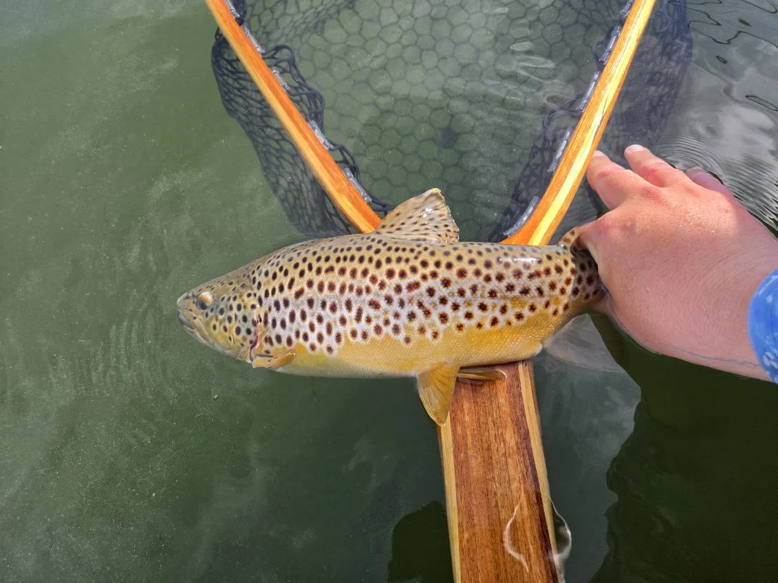 Fishing in Mammoth Lakes, California
