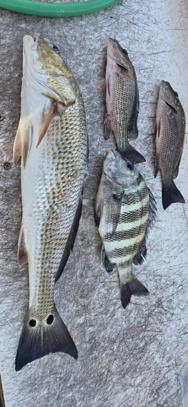 Fishing in Naples, Florida