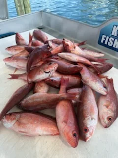 Fishing in Shalimar, Florida